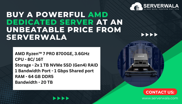 amd dedicated server