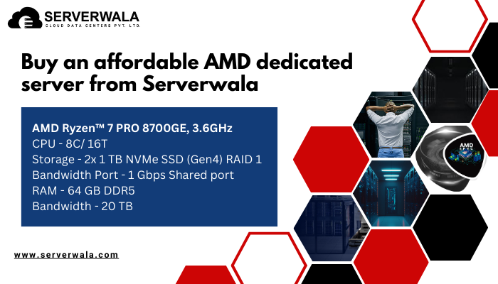 AMD dedicated server