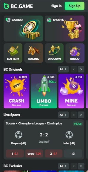 Understanding Betinin casino Casino Payment Options Understanding Betinin casino Casino Payment Options